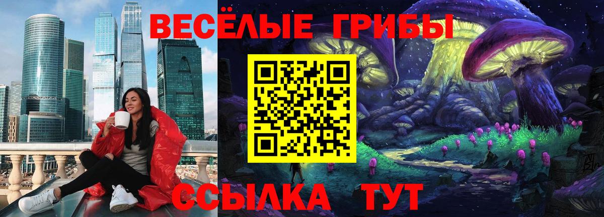 Псилоцибиновые грибы Psilocybe  Вход с VPN  Фрязино 