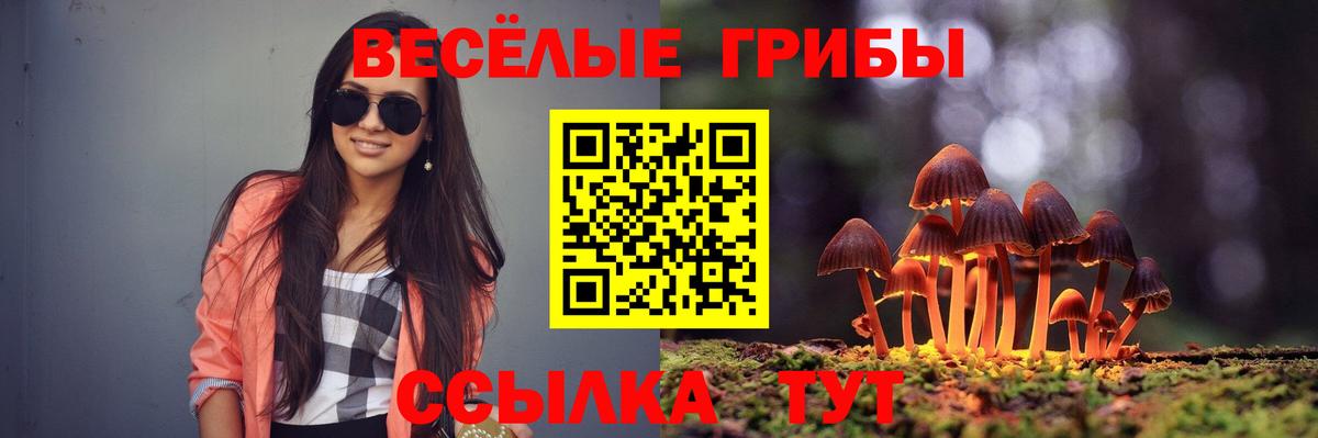 Псилоцибиновые грибы мицелий Фрязино